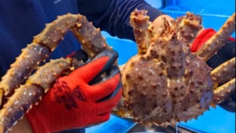 微言大义｜一次将公共讨论引向制度改进的契机戛然而止