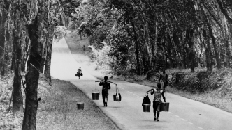 白色橡胶与黑色皮肤：一部新资本主义史