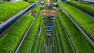 劉國中在人民日報撰文：加快農(nóng)業(yè)農(nóng)村現(xiàn)代化