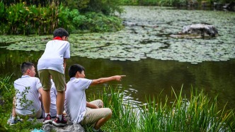 光明日?qǐng)?bào)刊文評(píng)春秋假：加強(qiáng)社會(huì)協(xié)同，讓好政策真正落地