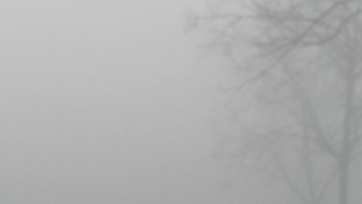 “不画之画”与韩羽笔下的漫天大雾