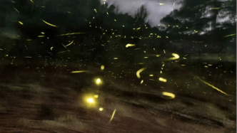 闭眼一分钟，在上海双年展会听到些什么？