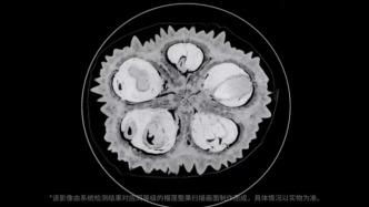 進博直擊｜給榴蓮做CT，這套系統(tǒng)讓消費者告別“盲盒”式選購