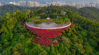 深圳，为先行者开场