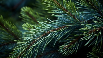 知名先秦史研究學(xué)者謝維揚(yáng)逝世，著有《中國早期國家》等