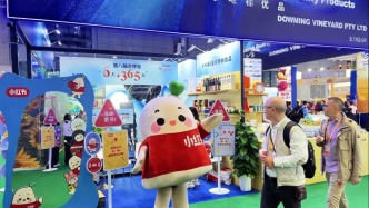 助力海外品牌扎根中國、海外游客讀懂中國，小紅書亮相進博會中國館