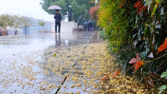 较强冷空气继续影响我国中东部，局地降温10℃以上