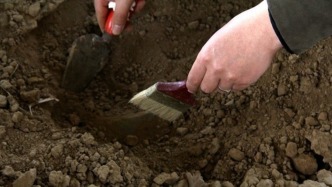 最高法典型案例：严打盗掘古墓葬行为，责令赔偿考古发掘费用