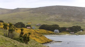 阿根廷重申对马尔维纳斯群岛主权