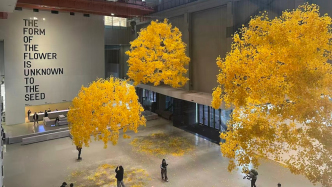 第15届上海双年展开幕：花影之间，无处不在的倾听