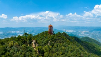 重庆北碚区划调整情况通报会举行，区委书记：实现国家战略下的“再生长”