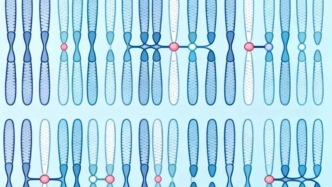 3年未孕，女子竟查出男性染色體？背后真相顛覆認知