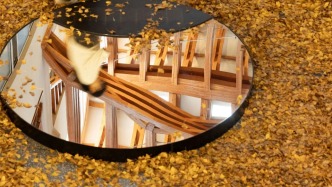 復(fù)興公園“雨滴長廊”有后續(xù)：公園落葉已鋪在上海交大這棟樓