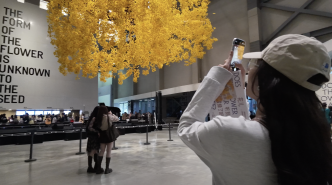 觀眾眼中的上海雙年展：聽到花兒，感受思考
