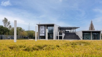 稻田边的上海双年展，与土地、光影的一次共振