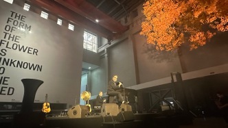 放歌在夜色中的上海雙年展