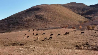 從村民沖突走向行政司法程序：內(nèi)蒙古赤峰兩村半個(gè)多世紀(jì)的土地之爭(zhēng)