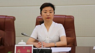 貴州省貴陽市副市長高楊主動投案，正接受審查調(diào)查