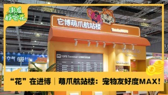 貓臉識(shí)別算什么？進(jìn)博會(huì)也太懂鏟屎官了?。煊押脮?huì)花