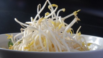 使用“無根素”浸泡豆芽，四人被判緩刑并處銷售所得的十倍罰款