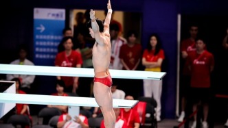 湖北隊(duì)王宗源獲全運(yùn)會(huì)男子3米跳板冠軍