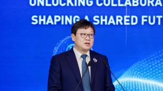 中國寶武副總經(jīng)理費鵬：鋼鐵生產(chǎn)海外布局實質(zhì)性突破是更國際化的標志