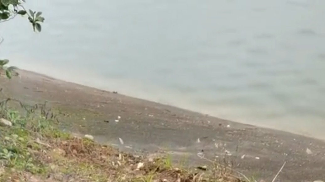 華中農(nóng)業(yè)大學(xué)一學(xué)生校內(nèi)湖中溺亡，武漢警方：排除案件