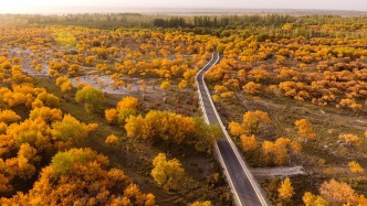 滬喀同心丨在喀什澤普縣：感受梧桐天堂、胡楊水鄉(xiāng)的日與夜