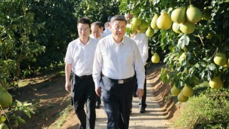 改革潮涌處，開放海天闊——習(xí)近平總書記赴海南、廣東考察并出席第十五屆全運(yùn)會開幕式紀(jì)實(shí)