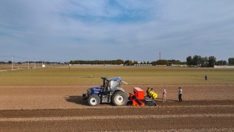 全國冬小麥播種近七成