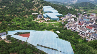 流量变增量：小城 IP 背后的产业跃升密码