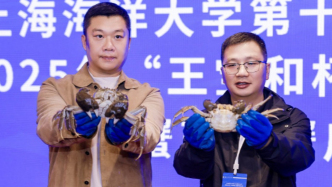 全国河蟹“奥斯卡奖”出炉：蟹王622.1克，蟹后451.2克