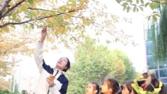 小臉仰起，圍著大樹：這堂“撿秋”課把秋天拓成了最美童畫