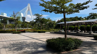 热带岛屿的降温考题:海南如何推进“清凉城市”