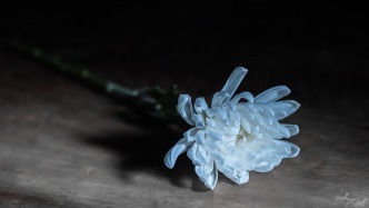 前海开源基金创始人王兆华因病去世，享年69岁