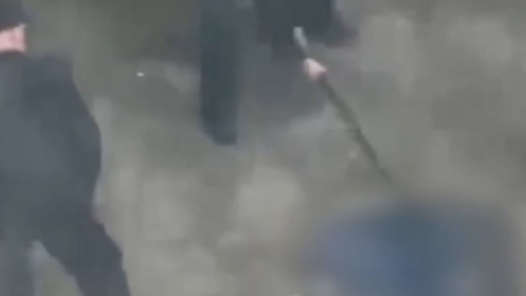 保安持棍打死流浪狗，武漢商貿職業(yè)學院：已解聘，將設立流浪動物救助點