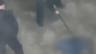 保安持棍打死流浪狗，武漢商貿(mào)職業(yè)學(xué)院：已解聘，將設(shè)立流浪動(dòng)物救助點(diǎn)