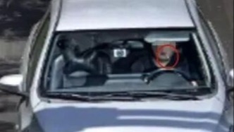 男子開車叼牙線棒被罰，江蘇宜興交管部門已依法撤銷處罰