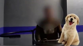 男子從蘇州出發(fā)送寵物狗回陜西老家，無證醉駕面臨雙重處罰