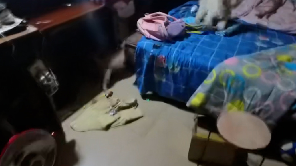 西安“單親拖鞋女孩”活潑愛吃零食喜歡翻跟斗,父親稱正給她聯(lián)系學校