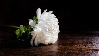 广东省传记文学学会副秘书长林峰突发疾病逝世，年仅41岁