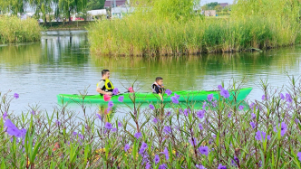 行以致遠(yuǎn)｜上海金山，如何走出轉(zhuǎn)型塑形新路子？