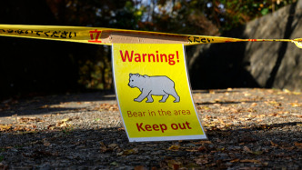 饑餓、氣候與村落：一場(chǎng)人與熊的邊界之戰(zhàn)｜907編輯部