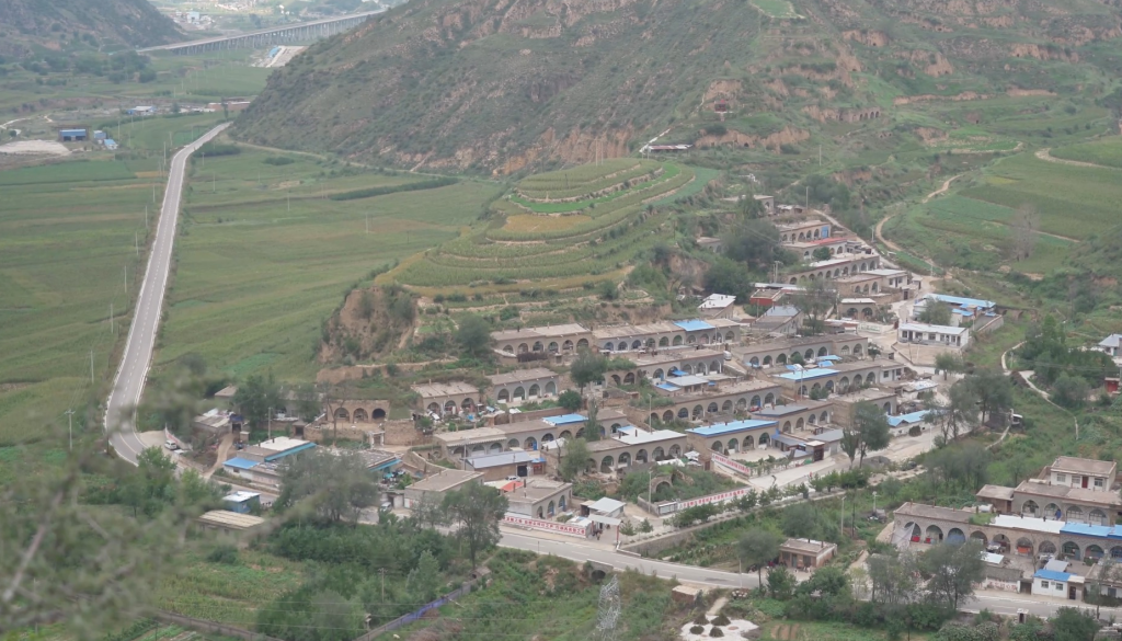 治愈网友的回村青年,治愈不了自己 2 resize,w 1024