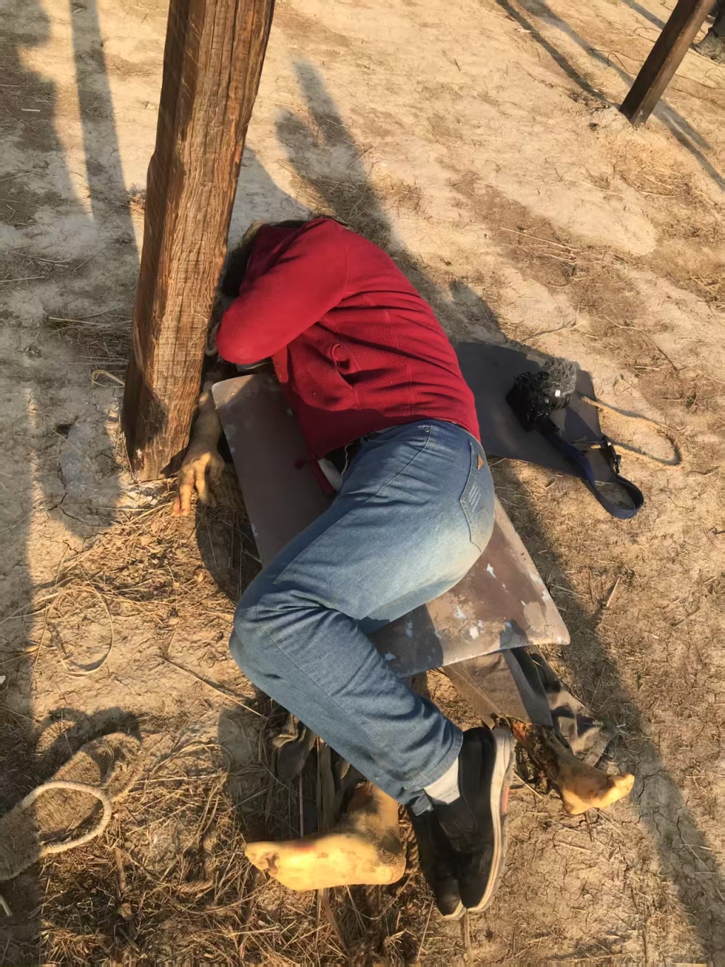 治愈网友的回村青年,治愈不了自己 14 resize,w 1024