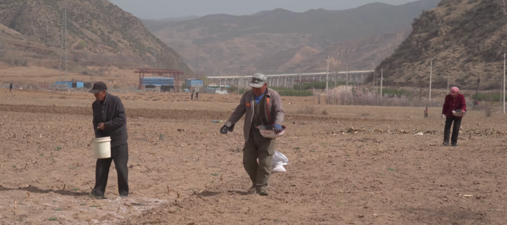 治愈网友的回村青年,治愈不了自己 3 resize,w 1024