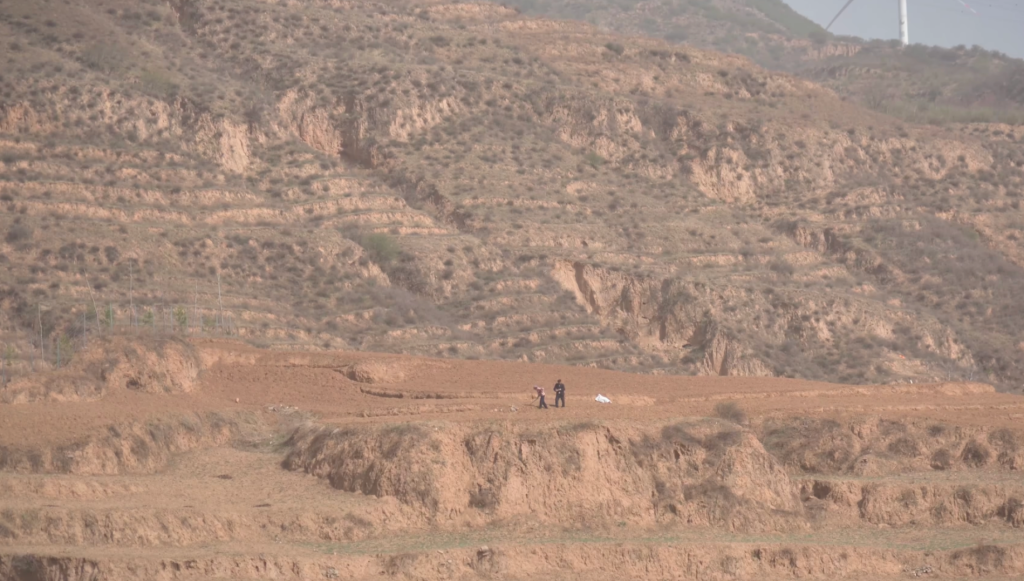 治愈网友的回村青年,治愈不了自己 4 resize,w 1024