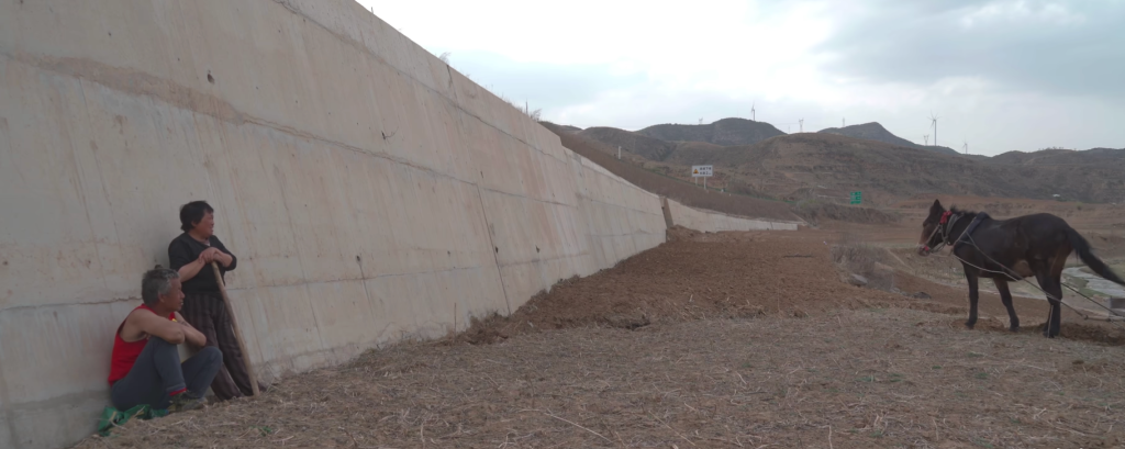 治愈网友的回村青年,治愈不了自己 5 resize,w 1024