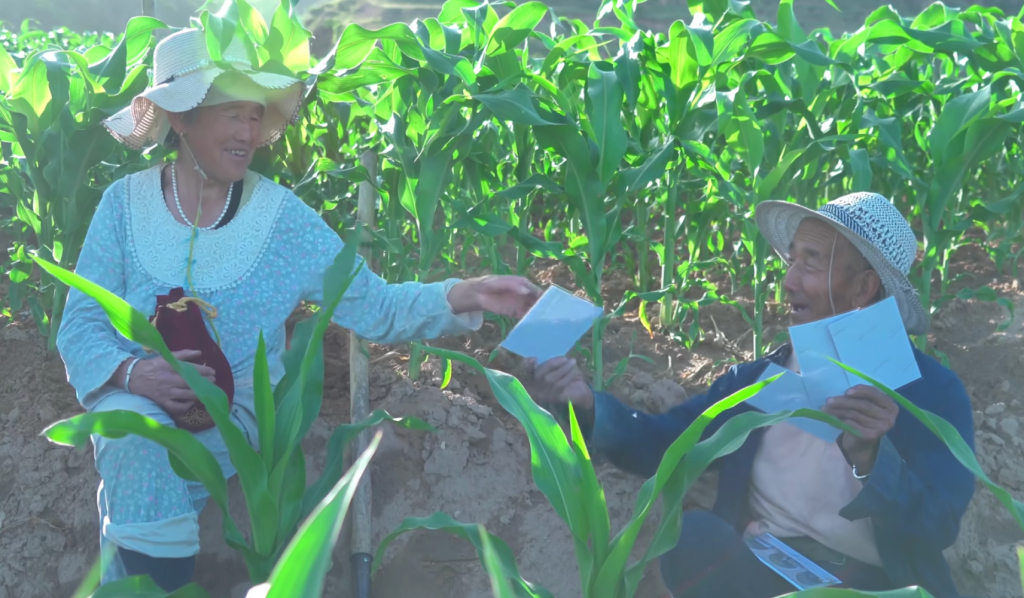 治愈网友的回村青年,治愈不了自己 20 resize,w 1024