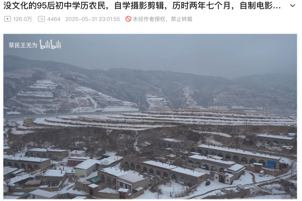 治愈网友的回村青年,治愈不了自己 1 resize,w 1024